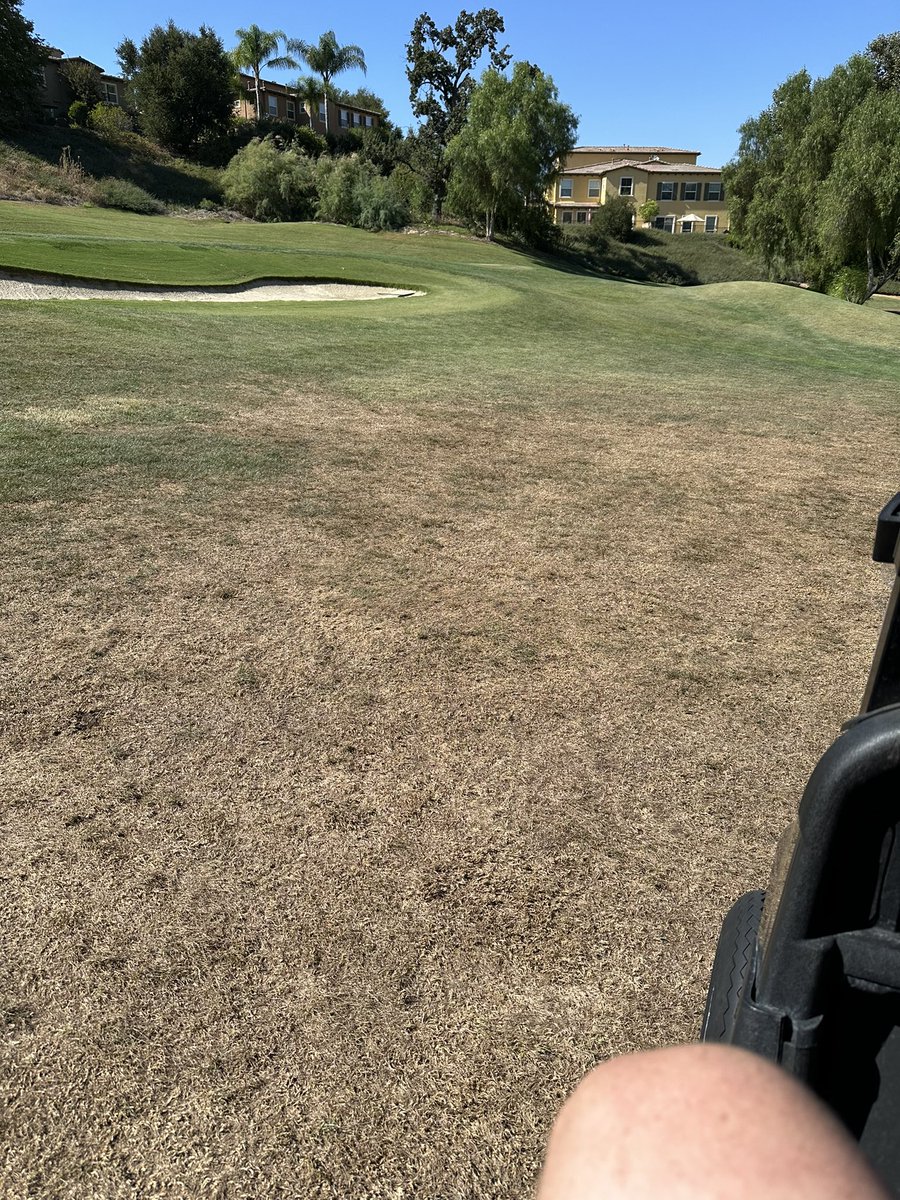 SlowTheGame's tweet image. Yikes @arcisgolf 

#slowthegame