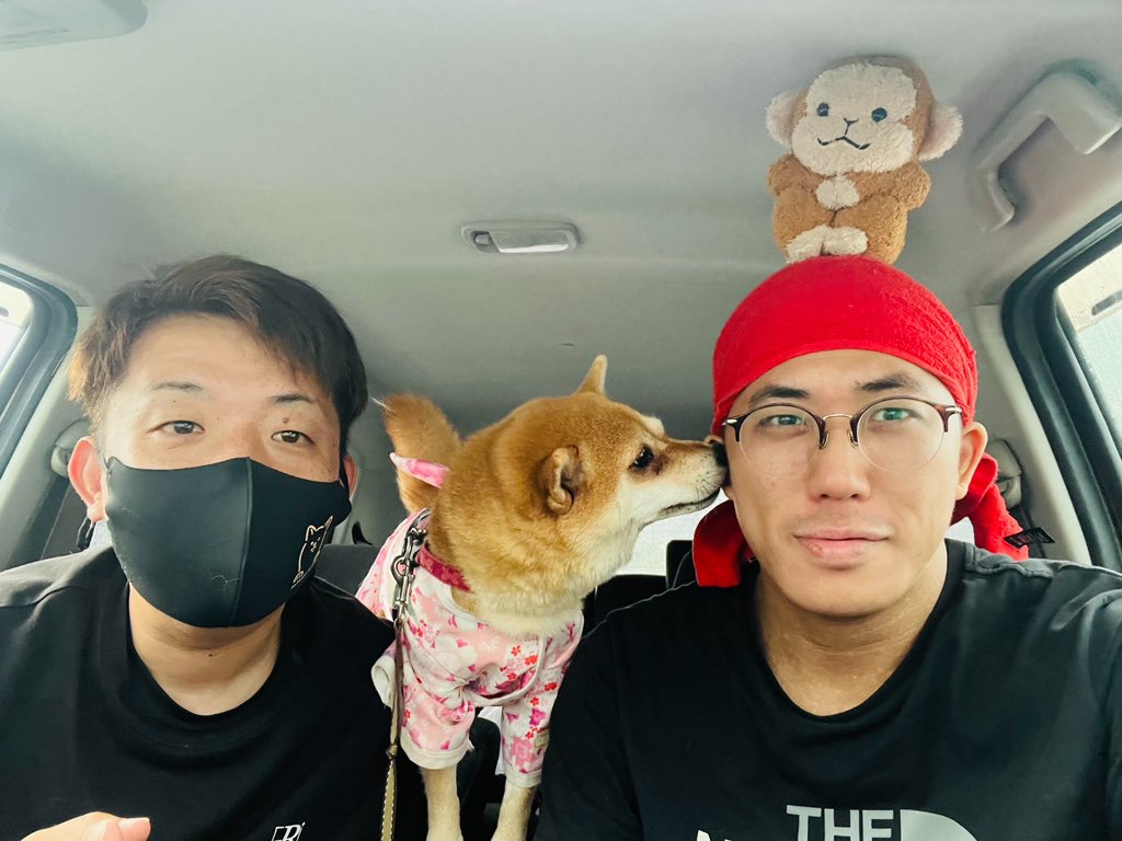 よしぼん【犬と心霊検証】真夜中の散歩 on X よしぼん【犬と心霊検証】真夜中の散歩 on X