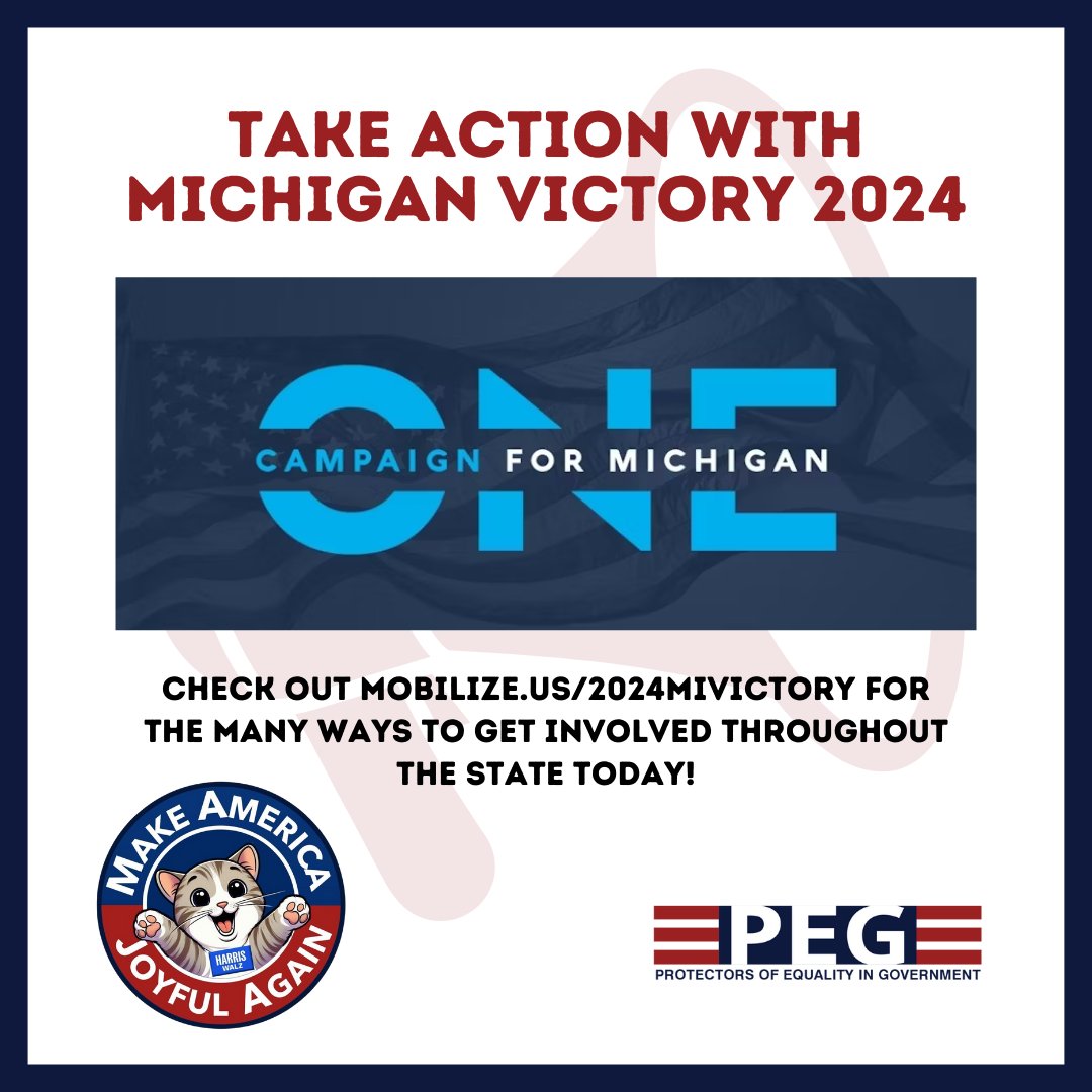 From postcarding to canvassing for the Harris/Walz ticket, the One Campaign has volunteer and action opportunities for you to "Do Something". #onecampaign #equalityingov #MIVictory