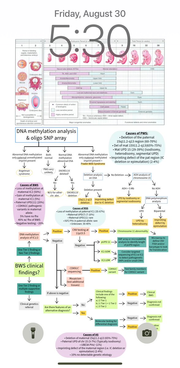leann t. (she/her) (@leanntgc) on Twitter photo Finally changing my phone wallpaper now that I have passed boards!! Shout out to Daniel and Lynsey from <a href="/studyrare/">StudyRare 🧬</a> for emphasizing imprinting disorders and embryology 😔✊🏼 ...And yes, I really was extra enough to make this wallpaper so I would see it every. single. day 😂💀 Finally changing my phone wallpaper now that I have passed boards!! Shout out to Daniel and Lynsey from <a href="/studyrare/">StudyRare 🧬</a> for emphasizing imprinting disorders and embryology 😔✊🏼 ...And yes, I really was extra enough to make this wallpaper so I would see it every. single. day 😂💀