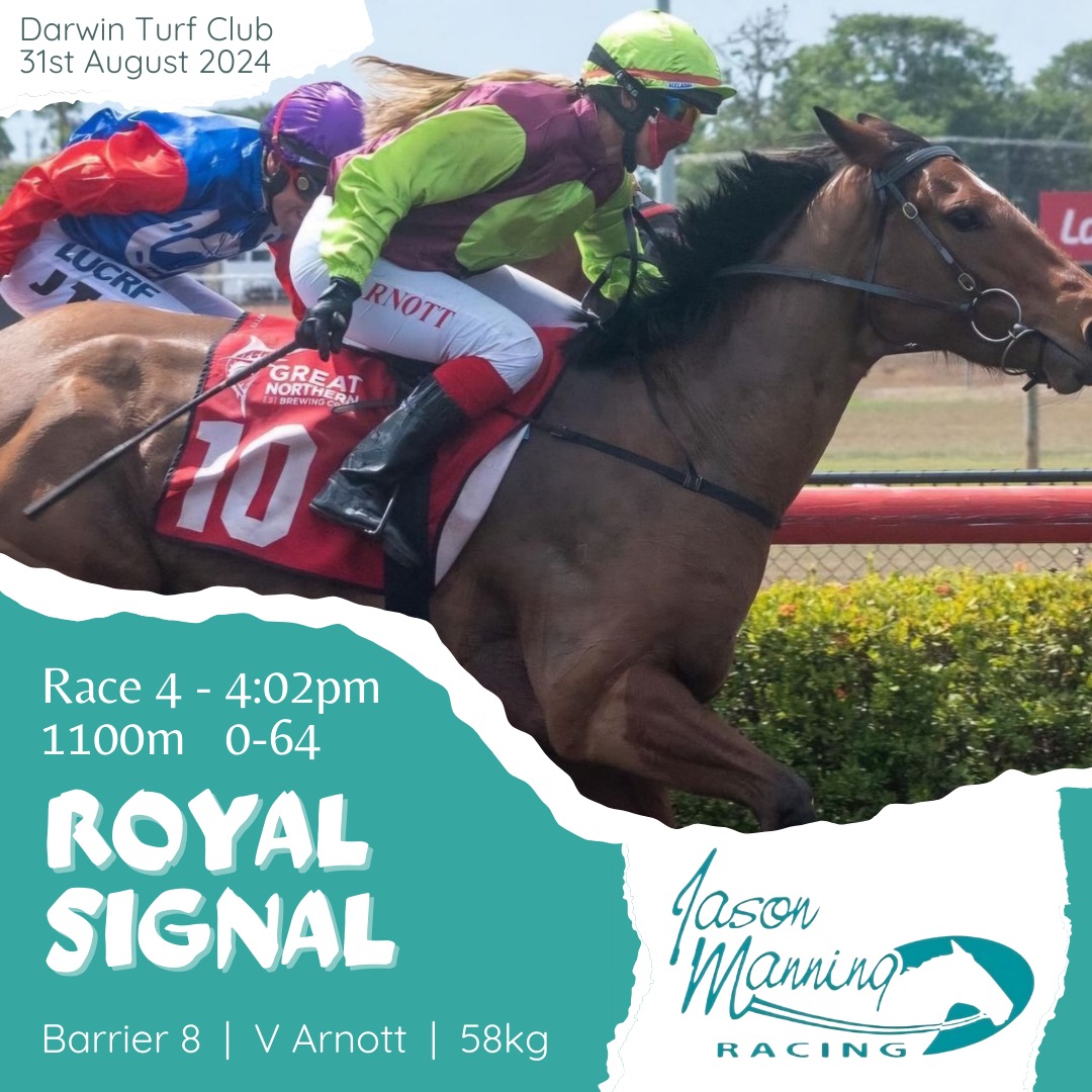 Today's Runner <a href="/DarwinTurfClub/">Darwin Turf Club</a>