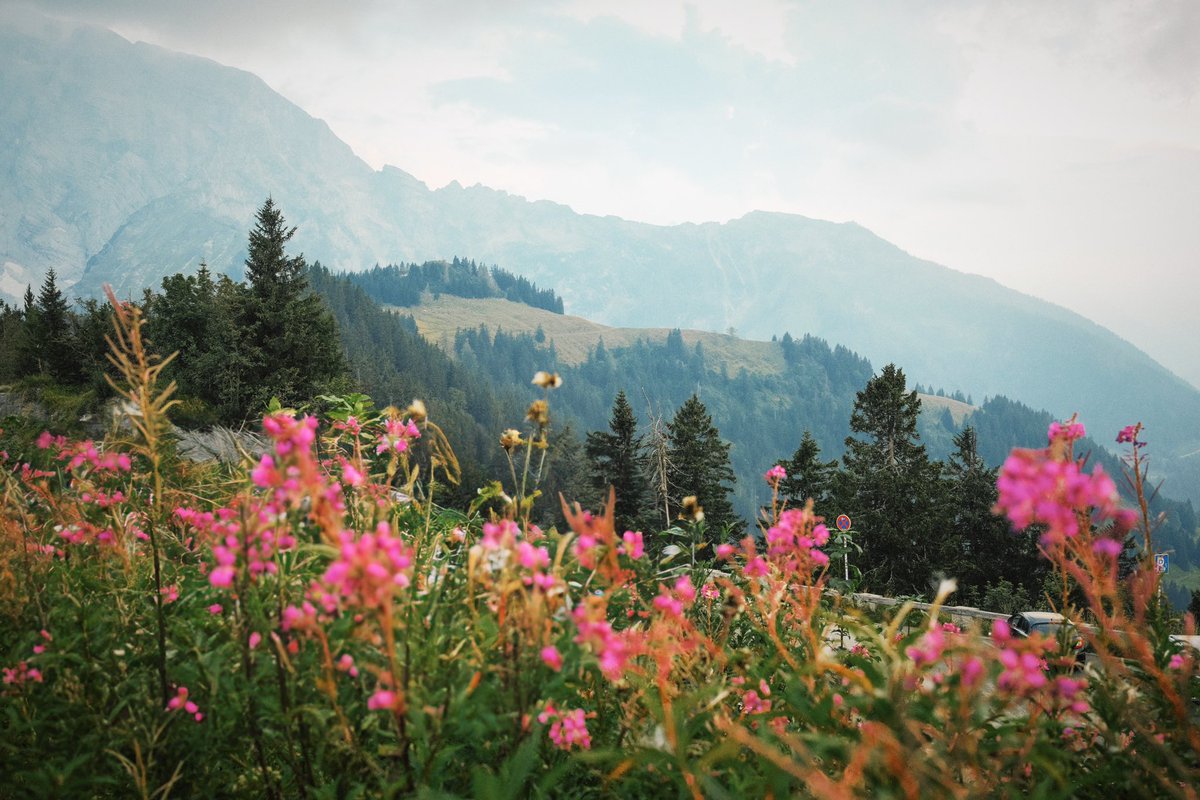 Joanne Hollings 💫 tweet media