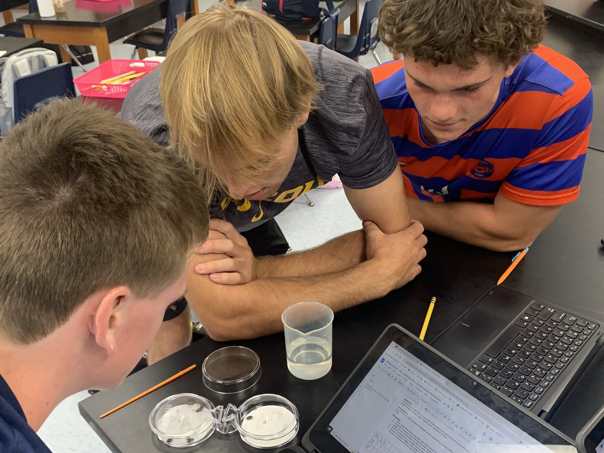 RobardsVPHS's tweet image. Bio 2 students dive into animal behavior with a hands-on lab using pill bugs! 🪲 Observing their reactions &amp;amp; interactions is a fun way to learn about behavioral science in action. #ScienceClass #AnimalBehavior @ValleyParkHS