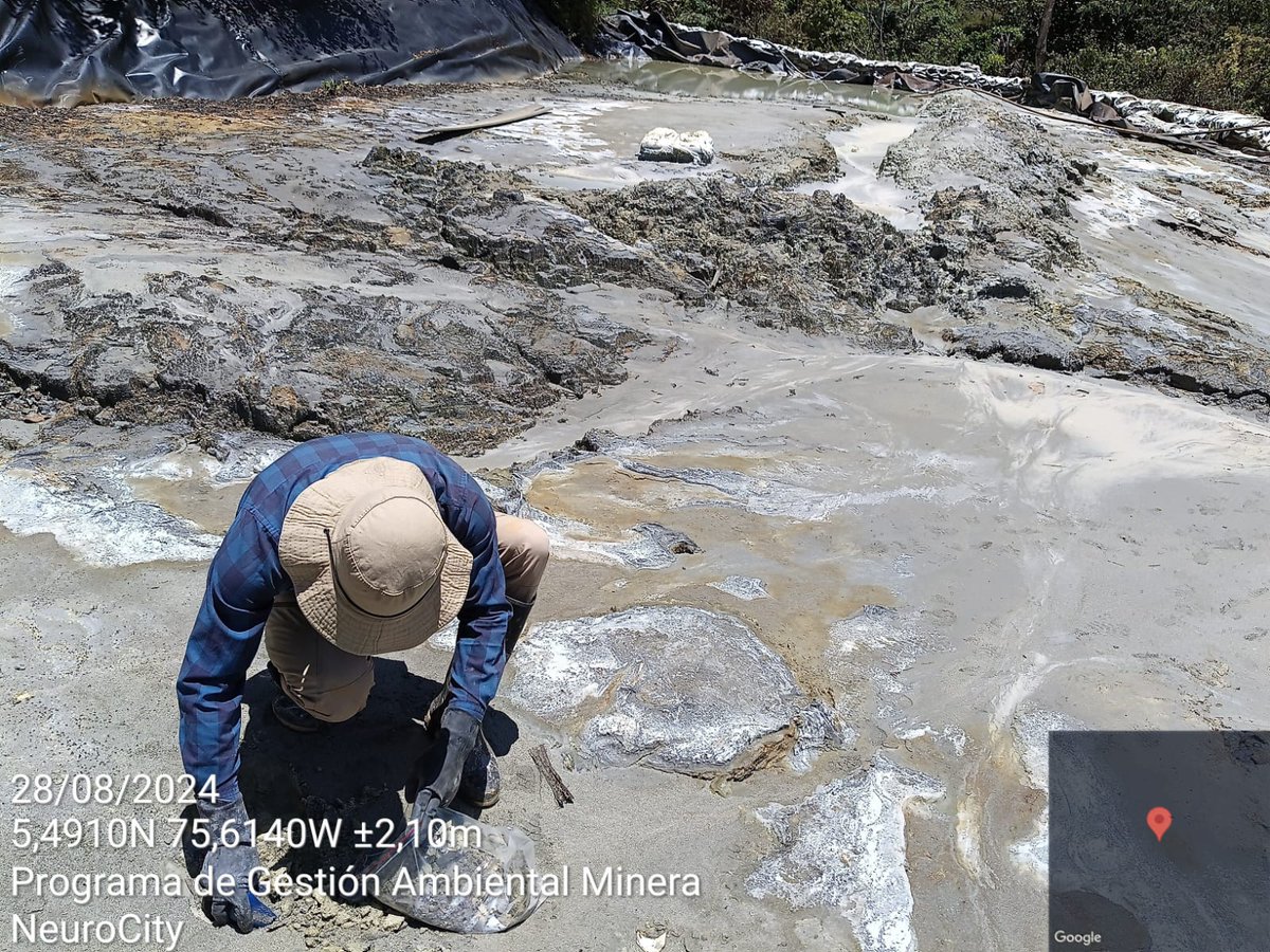 NeuroCity tweet media