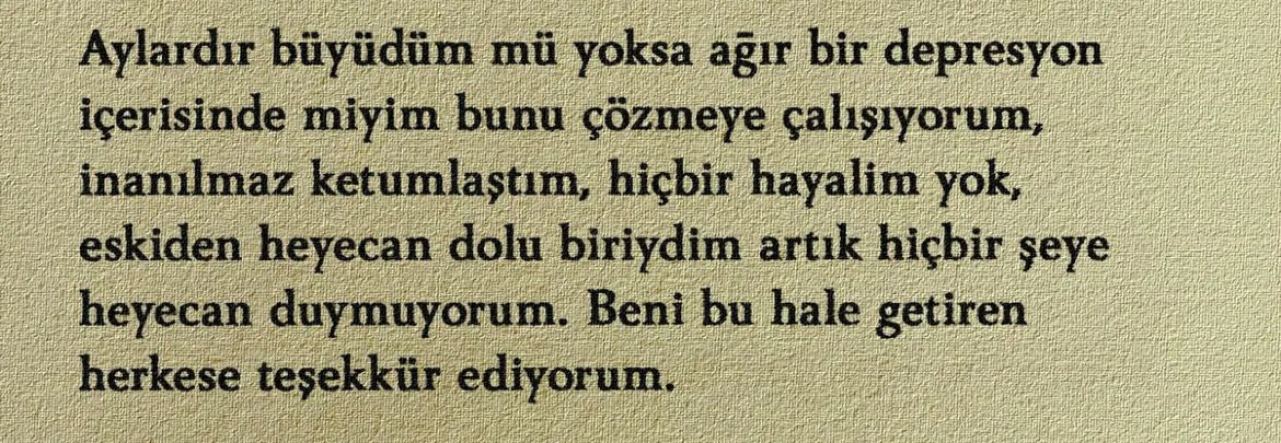 sᴇɴsɪᴢ ʜᴀᴛıʀᴀ (@sensizhatiram) on Twitter photo 