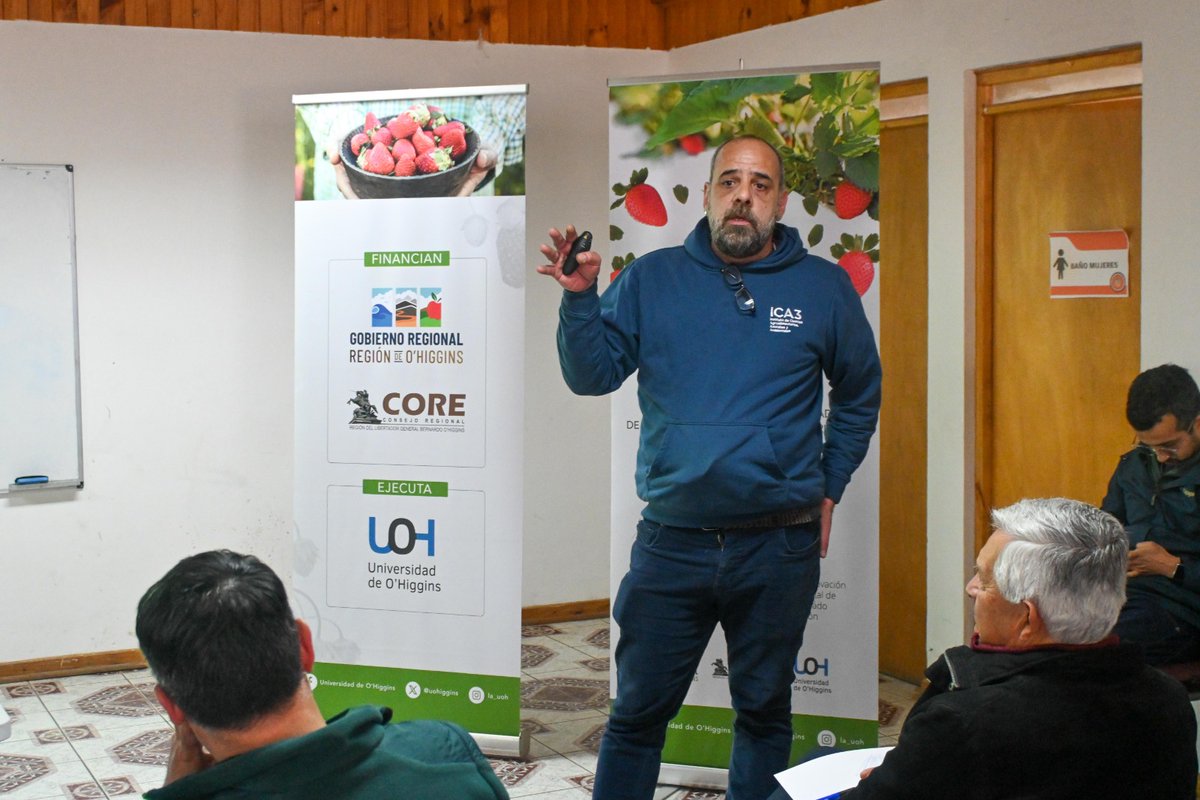 Proyecto "Transferencia sistema integrado de manejo del nematodo de la frutilla Simcanem". 🌱🍓 Dirigido por el Dr. Ernesto San Blas #ICA3 #UOH #PROYECTOFIC