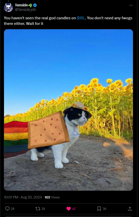 Procreator 👁️ tweet media