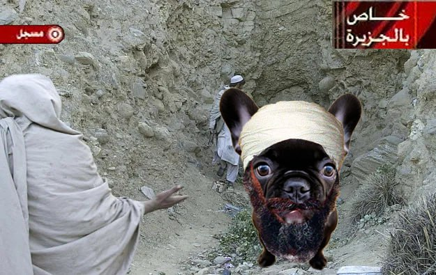 2LEGSonSol's tweet image. dont test me.

$2legs