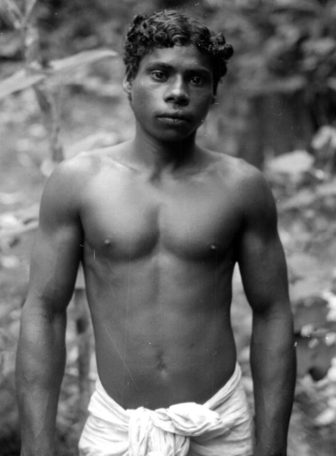 സർ ചാത്തൻ tweet media