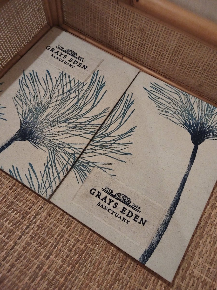 Kenanao Phele tweet media