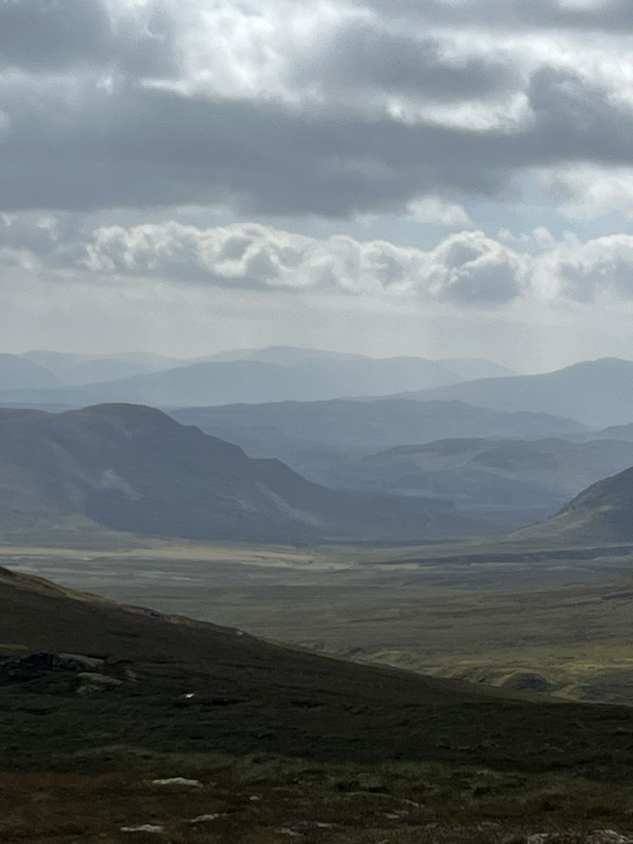 Jacqui jones tweet media