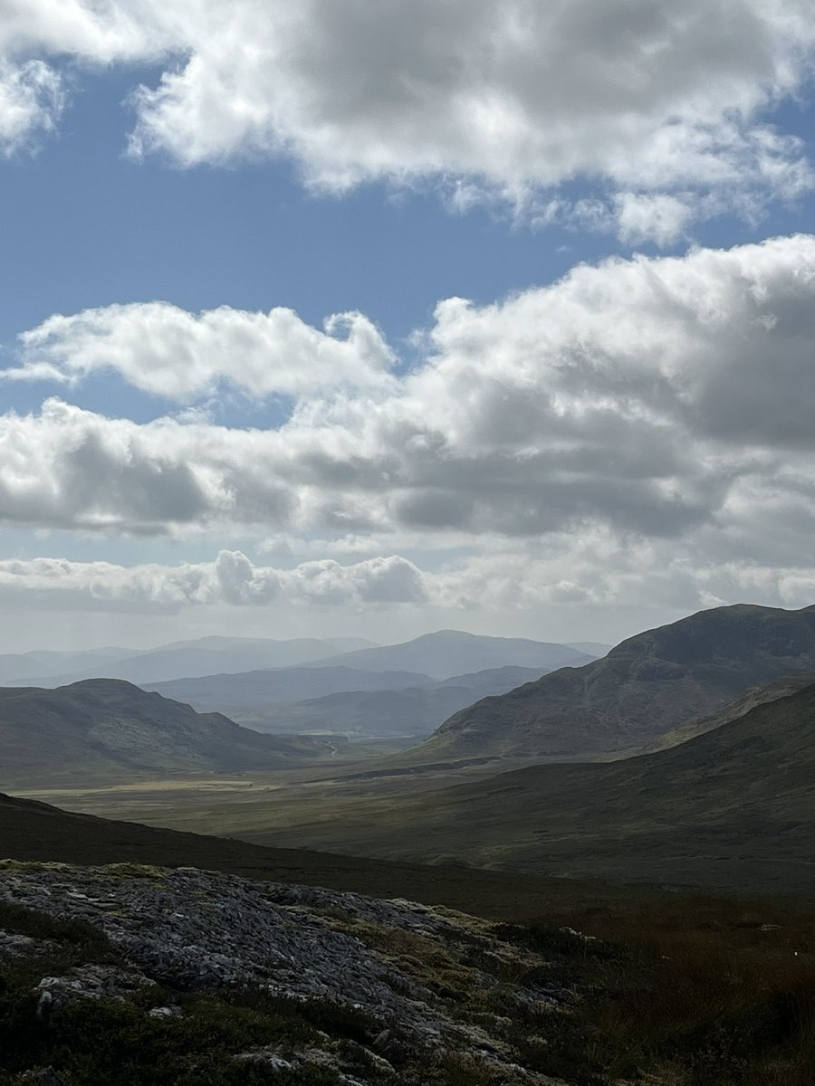 Jacqui jones tweet media