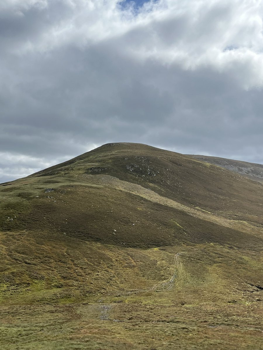 Jacqui jones tweet media