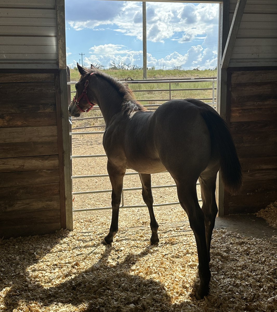 Weaning them always breaks my heart just a bit (okay a lot) but she’s kind of a shapey lil lady! 🥰
