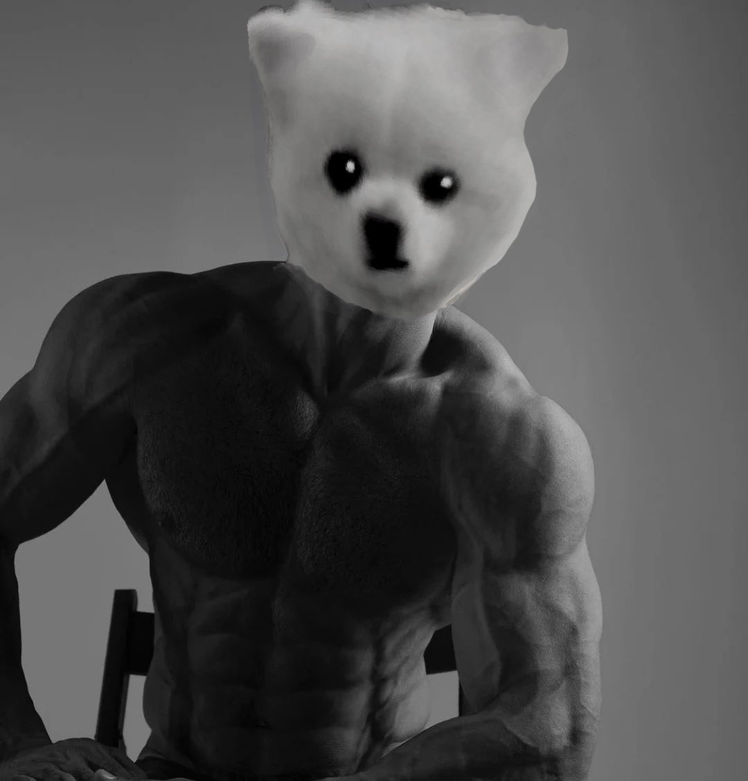 SolOnRoids tweet media