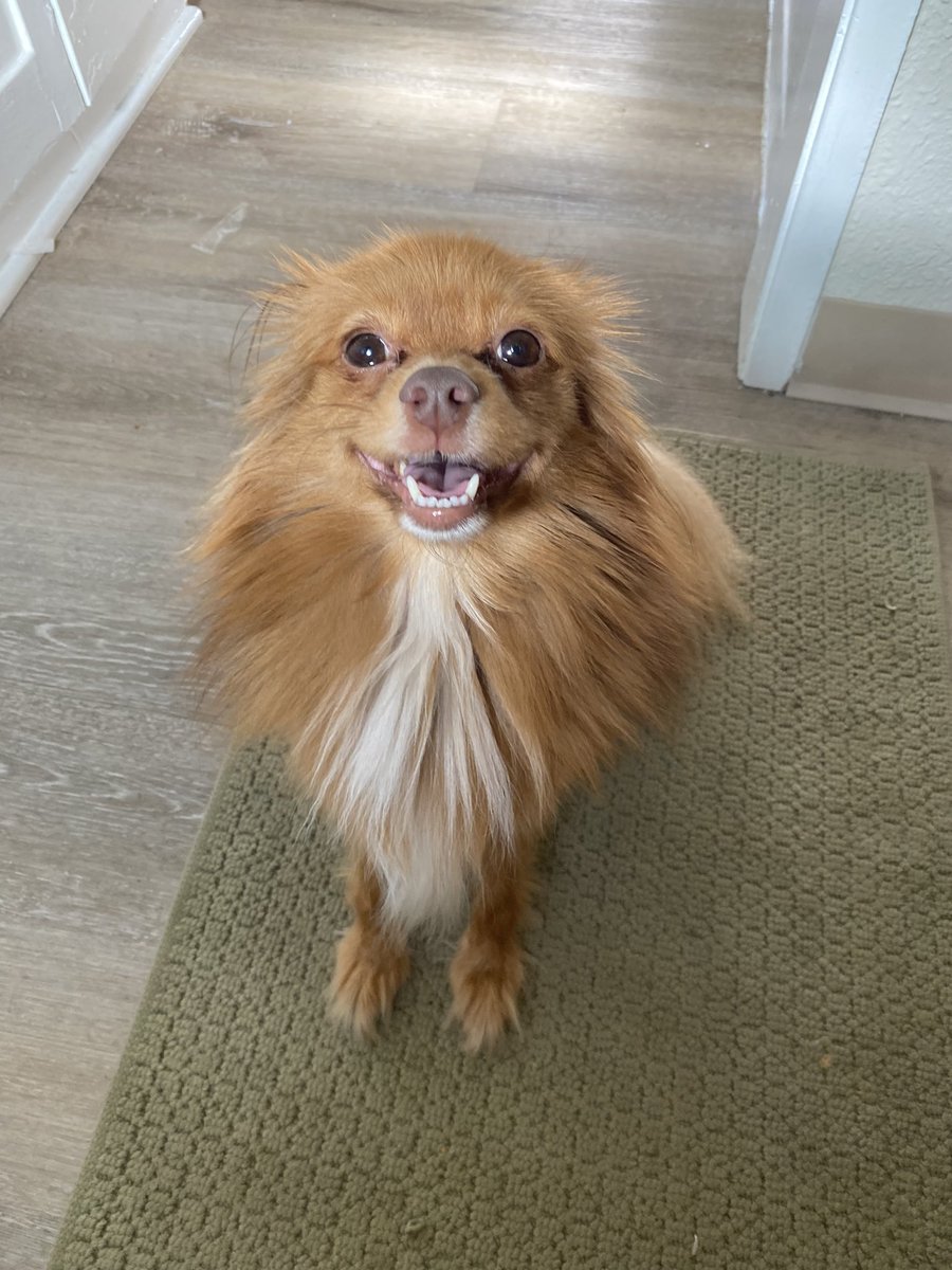 adam sputh (@adamsputh) on Twitter photo 