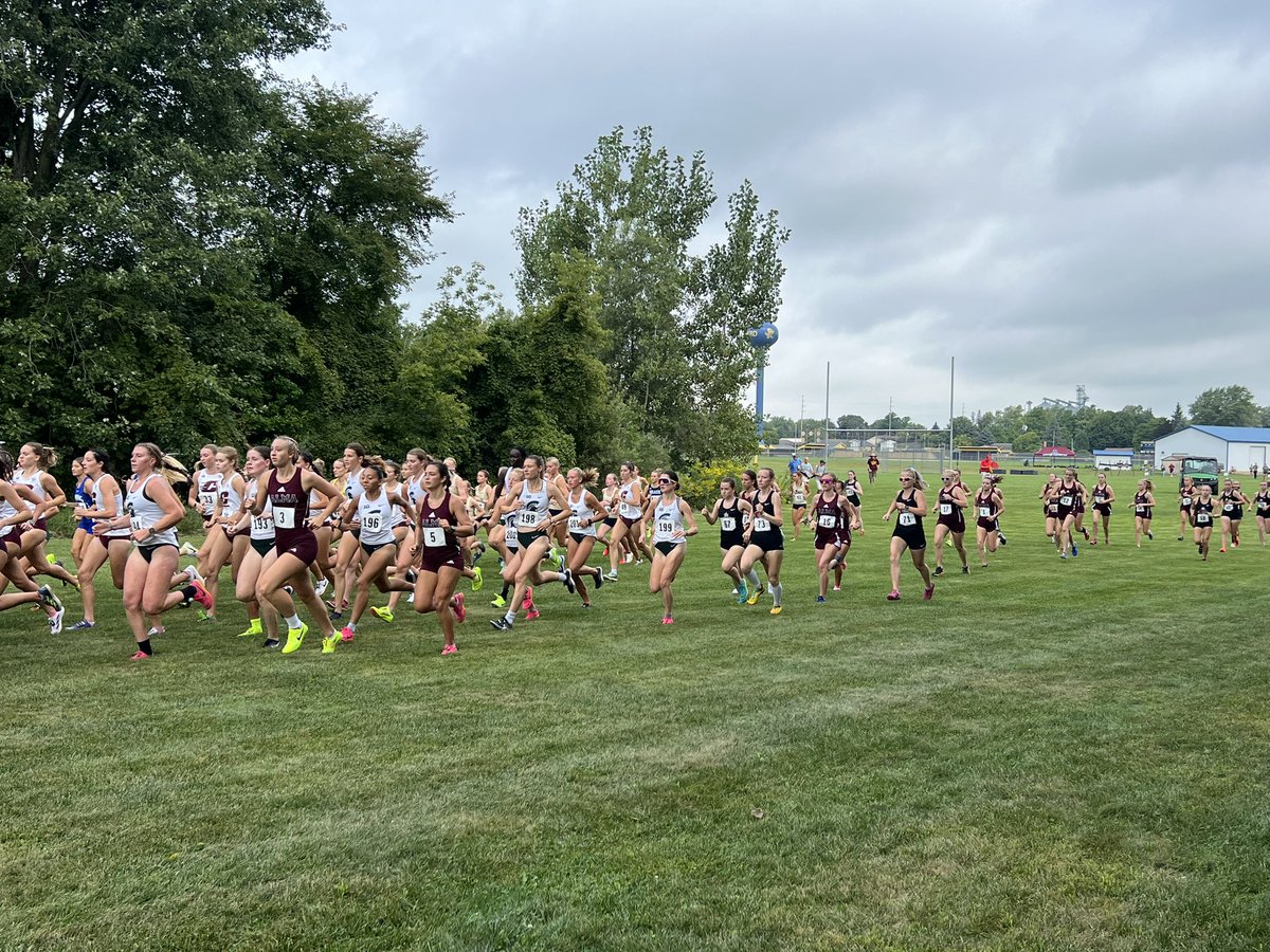 Sarah Dehring tweet media