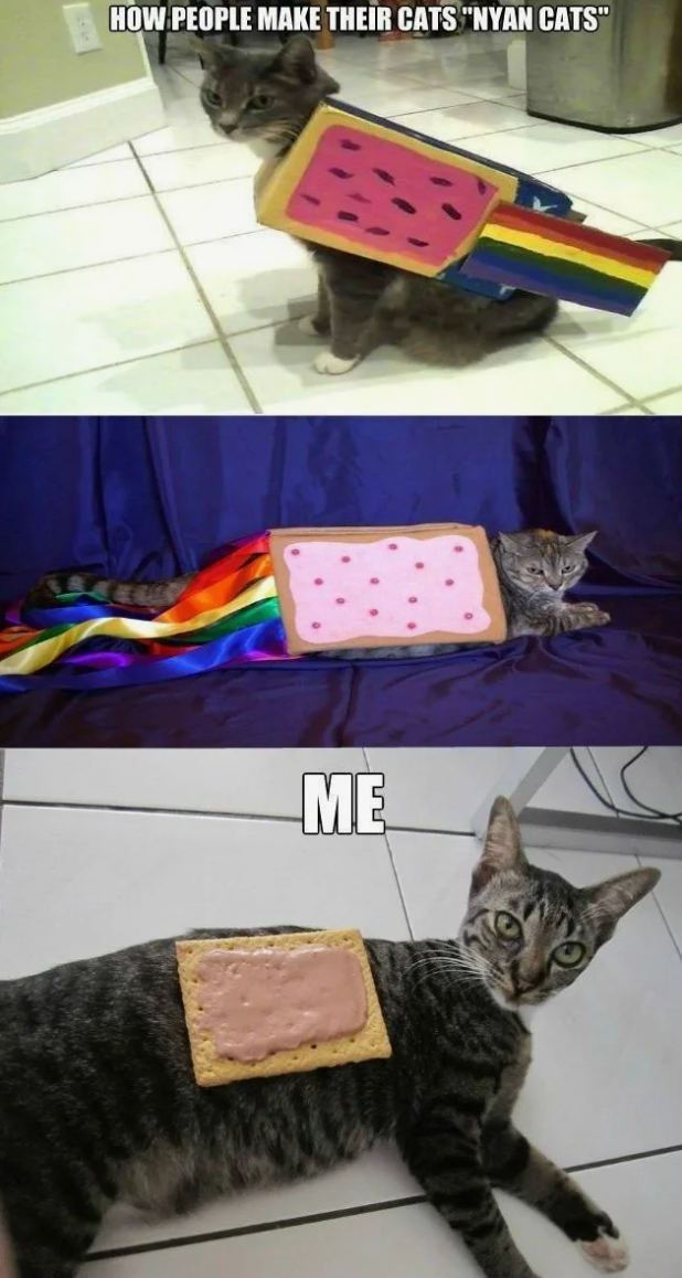 danya orel tweet media