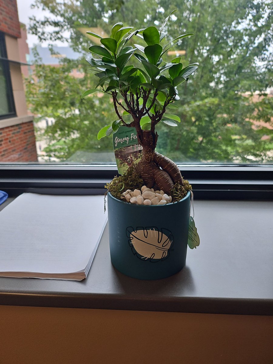 The lab surprised me today with lunch, cake, and a tree! Can't believe I've had a lab for 1 year already 👵