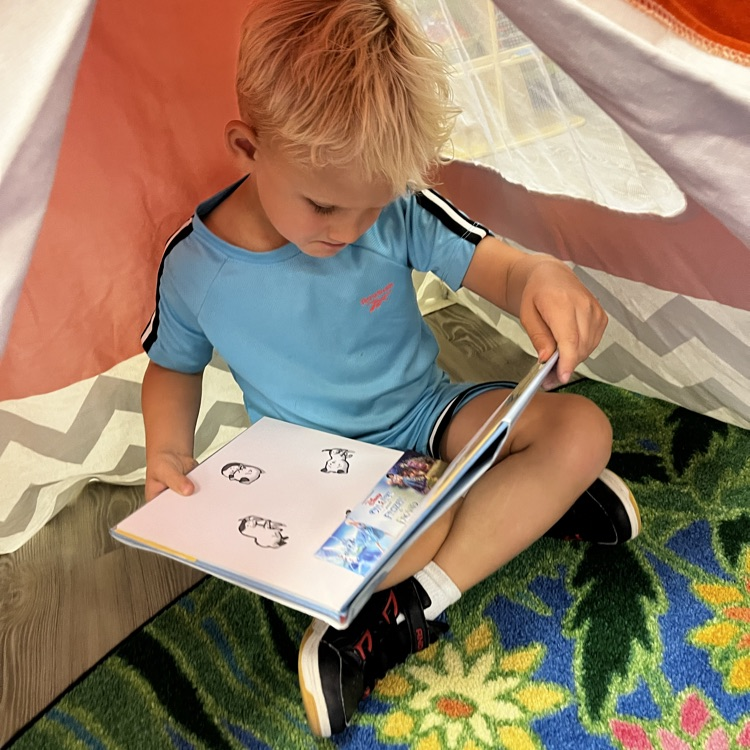 HumbleISD_WCE's tweet image. 📚🔥 Cozy up with a good book! Our readers had a *"campfire adventure"* right in the library! 🏕️✨ Nothing beats a good story under the tent. 📖❤️ #CampfireReading #LibraryFun