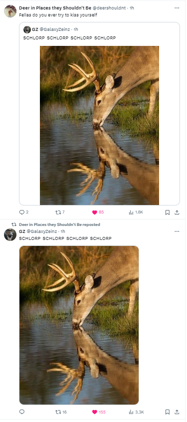 LeanYeen's tweet photo. @deershouldnt https://t.co/UGTpTN0fFP