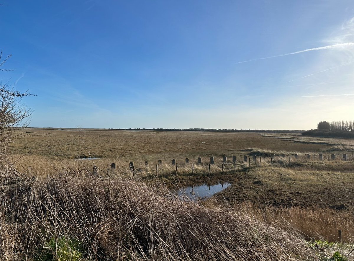 KentWildlife's tweet image. 📣 Our friends at #SaveMinsterMarshes are hosting a talk by author and environmentalist @RogerMGwriter on 18 September in Ramsgate.

Tickets are free but donations help their  campaign, fighting to protect the marshes &amp;amp; Pegwell Bay from development.

👉 eventbrite.co.uk/e/save-minster…