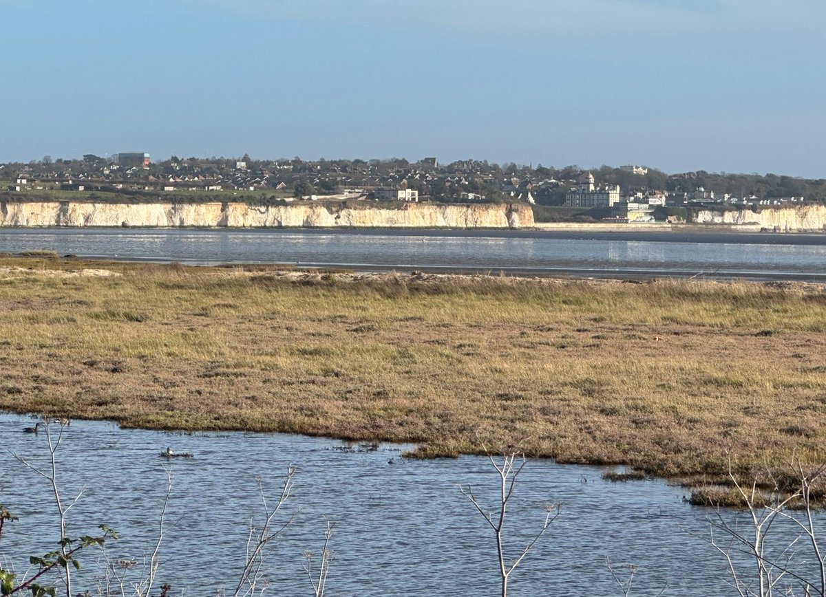 KentWildlife's tweet image. 📣 Our friends at #SaveMinsterMarshes are hosting a talk by author and environmentalist @RogerMGwriter on 18 September in Ramsgate.

Tickets are free but donations help their  campaign, fighting to protect the marshes &amp;amp; Pegwell Bay from development.

👉 eventbrite.co.uk/e/save-minster…