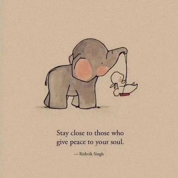 Mind Essentials (@mind_essentials) on Twitter photo 