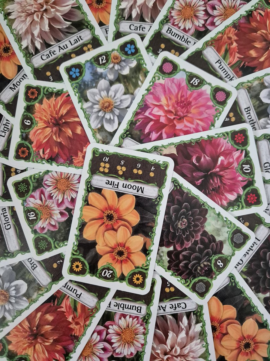 tlarraya's tweet image. Bohnanza Dahlias published by @AMIGO_GamesUS is better than the classic beans Bohnanza 🫘 even if it's only a reskin of the game. Anything is made better with beautiful artwork by talented @beth_sobel. The flowers theme is better, but the negotiation game is still not the best.🙃