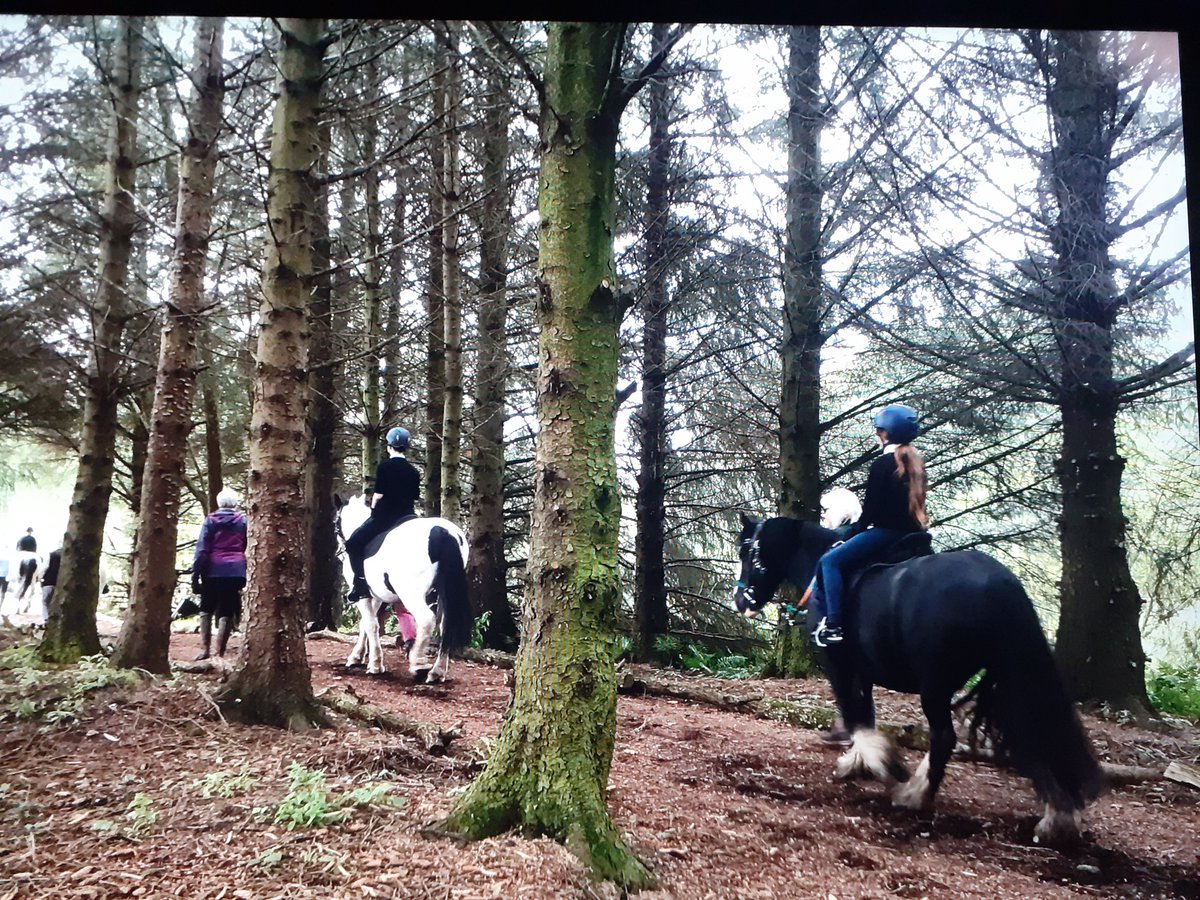 Mrs James (@mrsjames_sa) on Twitter photo Another top trip to <a href="/RDAGlasgow/">RDAGlasgow</a> for the BGE gang! Confident enough in our skills to venture out to the beautiful trail today...what a treat! ๐ Brilliant to see our young people thriving in this experience! ๐ Another top trip to <a href="/RDAGlasgow/">RDAGlasgow</a> for the BGE gang! Confident enough in our skills to venture out to the beautiful trail today...what a treat! ๐ Brilliant to see our young people thriving in this experience! ๐