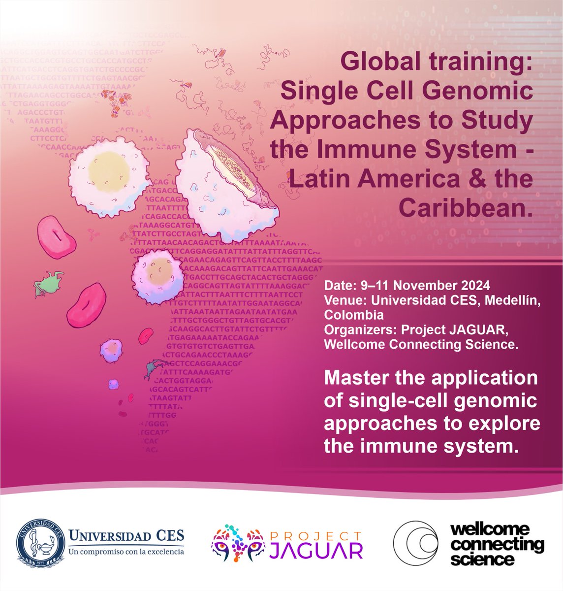 📢📢Atención!

Únete a nuestro taller en Medellín, Colombia, del 9 al 11 de noviembre, y aprende a aplicar técnicas genómicas de célula única para estudiar el sistema inmunológico. ¡No te lo pierdas! 

Más info 👉 tinyurl.com/proyectojaguar

#Inmunología #CienciaLatAm #singlecell