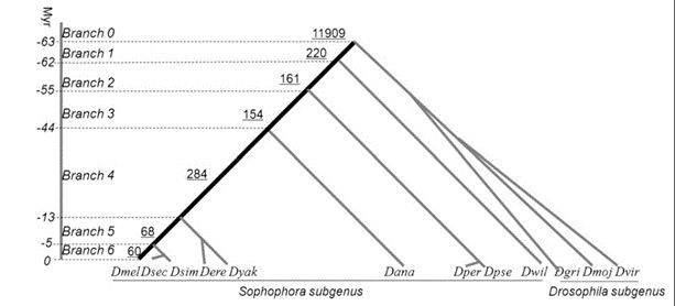 GageTracker: a tool for dating gene age by micro- and macro-synteny with high speed and accuracy biorxiv.org/content/10.110… 🧬🖥️  github.com/RiversDong/Gag…
