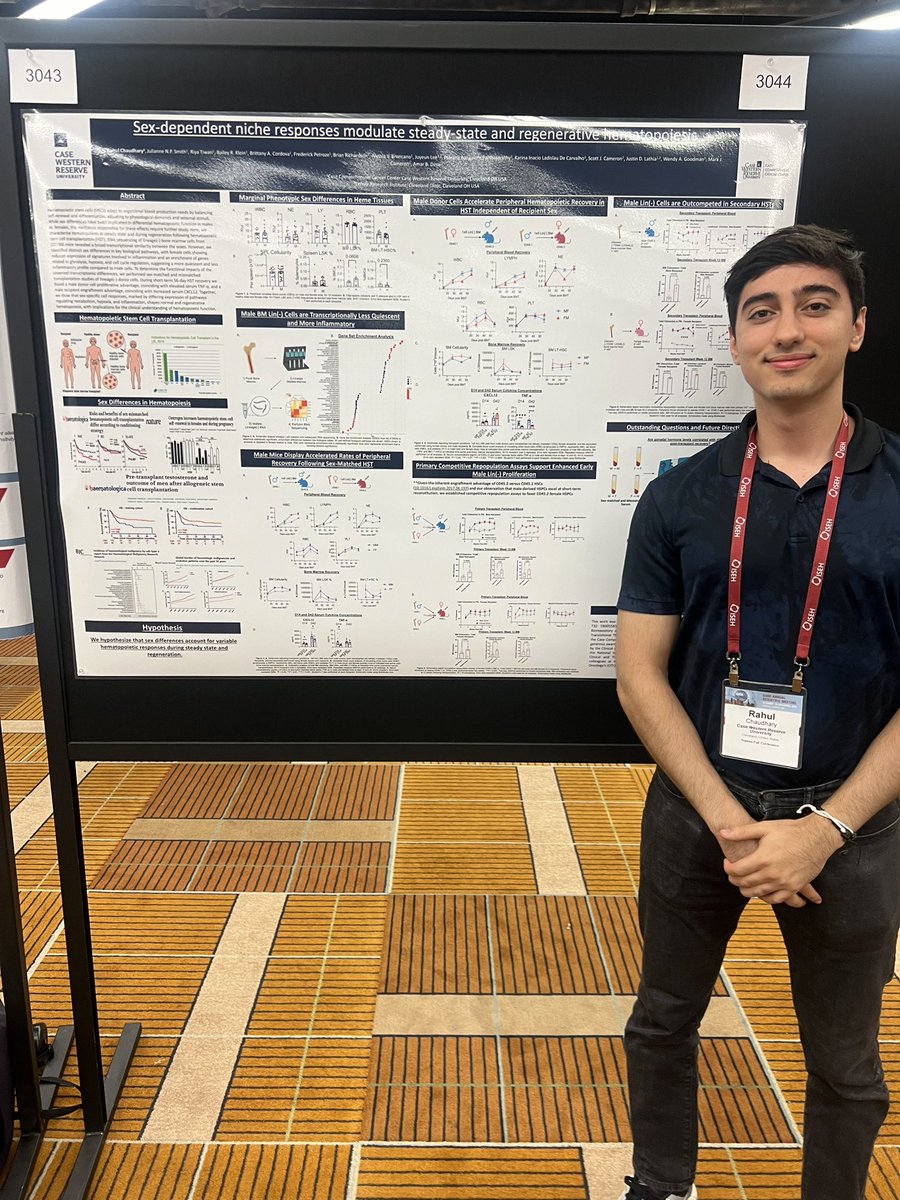 To <a href="/ISEHSociety/">ISEH</a> folks- check out work by our talented team! <a href="/science_klein/">Bailey Klein</a> (#3105) is interested in mast cell derived histamine regulating HSCS, and Rahul Chaudhary (#3043) studies sex differences in post HSCT regeneration. Come say hello at tonight’s poster session! #ISEH2024