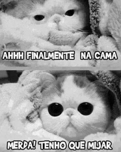 Deixe o seu coração de janela aberta.. (@brancamonalisa) on Twitter photo 