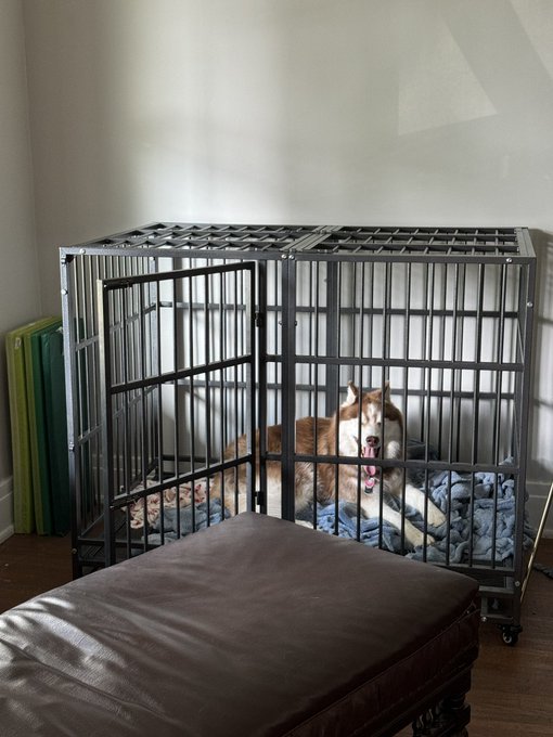 The giant crate was a really good investment he loves it in there https://t.co/Le1dH7KuLM