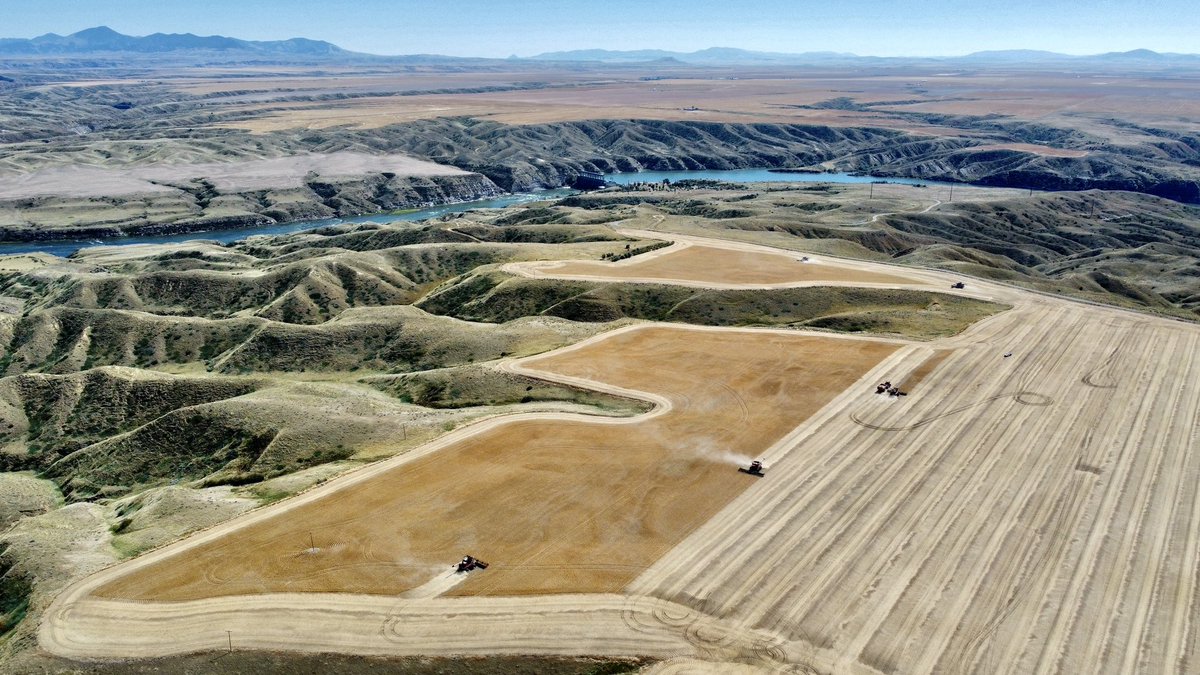 Dallas Thacker tweet media