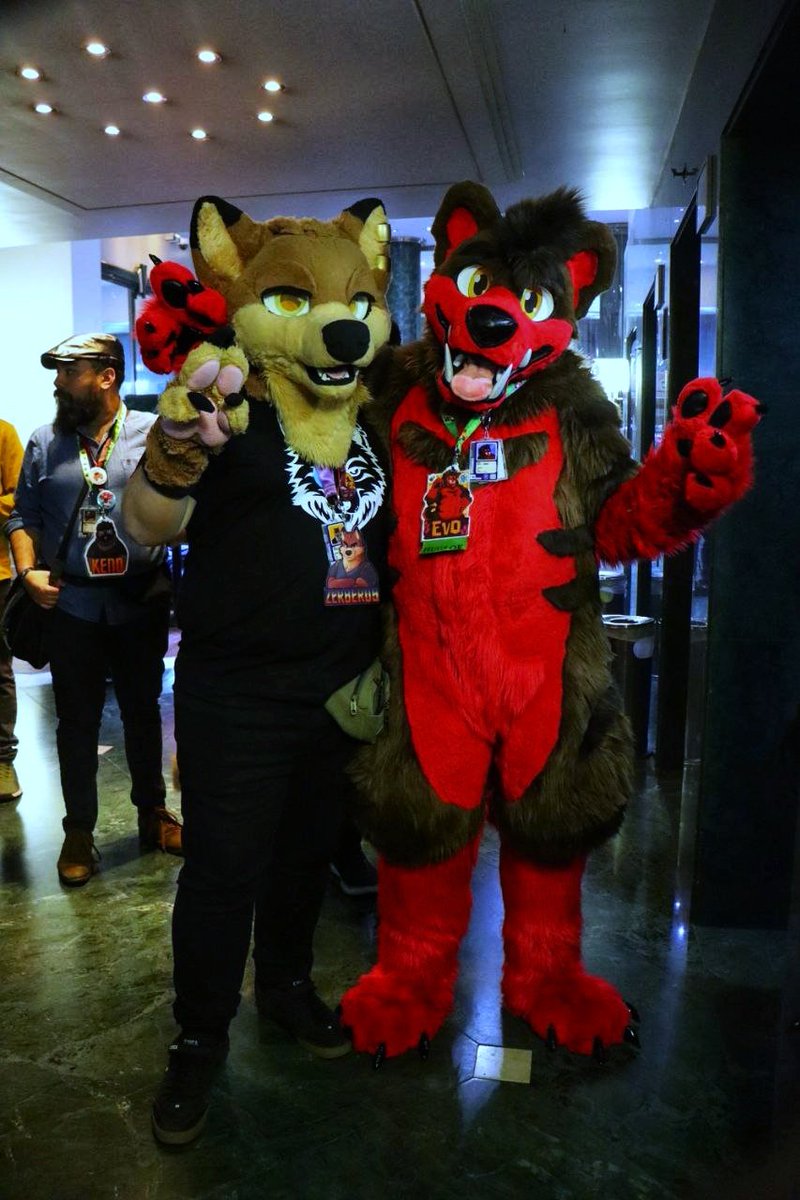 Zerberus_The_Wolf tweet media