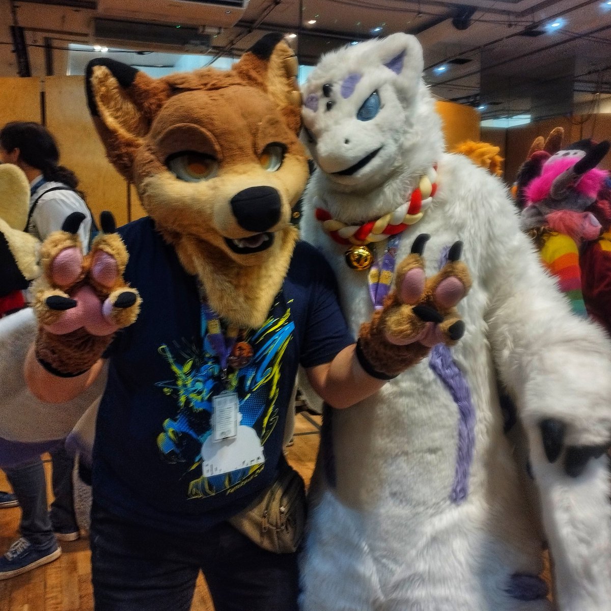 Zerberus_The_Wolf tweet media