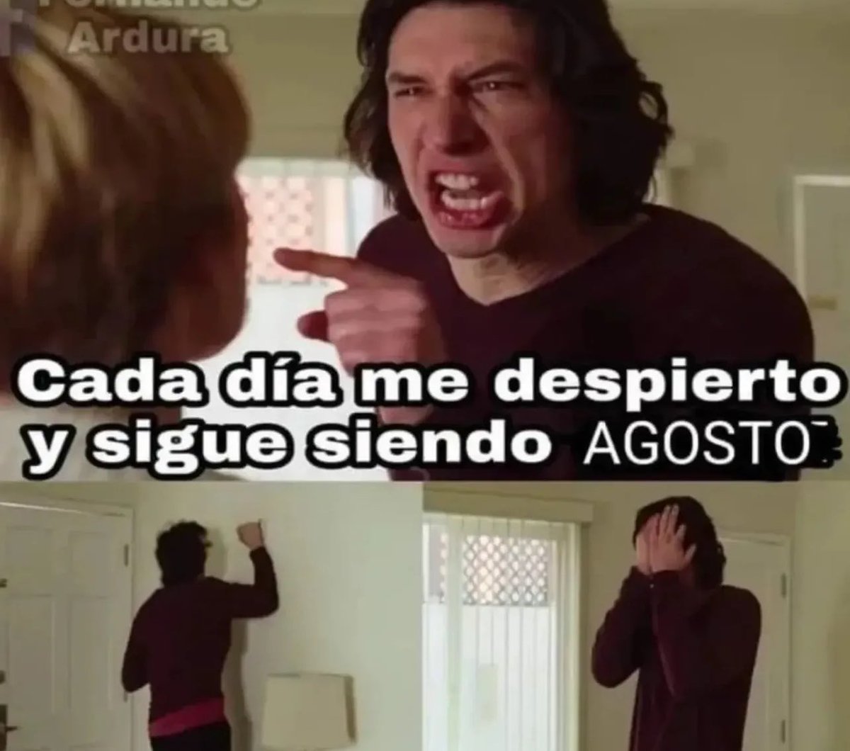 Cuál eres tú? | 🦜 ¡Sigue los memes de Daily Bird! 🦜| - #bird #birds #birb  #birbs #birdmeme #birdmemes #birbmeme #birbmemes #meme #memes #bestmemes  #funny #lol #haha #memepage #funnymemes #funnyanimals #funnybirds  #funnymeme #, image size:1200x1060