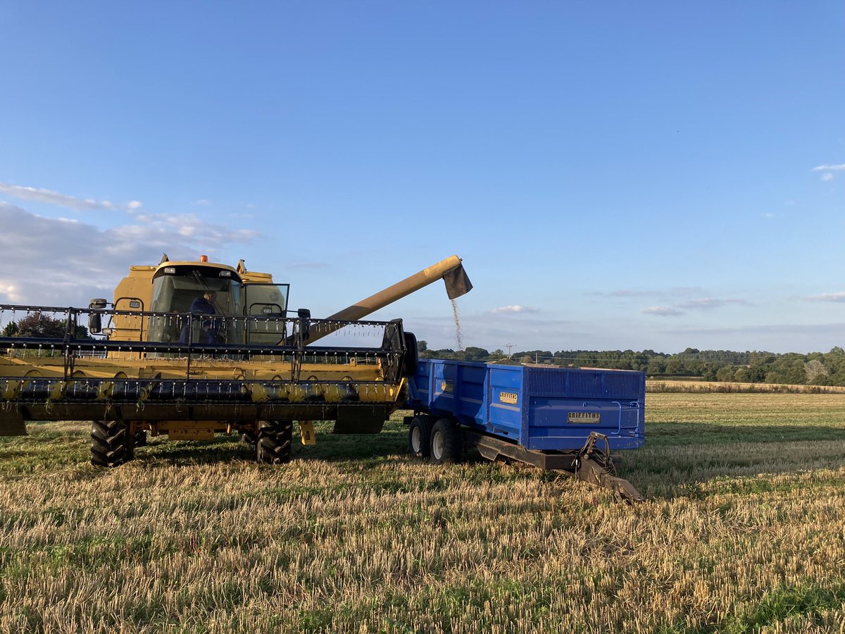 The last dribble of #harvest24 is in the trailer and it’s been generally as miserable as expected - it’s all about 2025 now with a new cropping plan which will hopefully make us less vulnerable to our changing climate.  Good luck to everyone still at it!