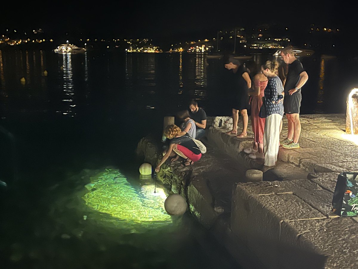 Clytia group LBDV (@clytia_vlfr) on Twitter photo A spectacular demonstration of Platynereis collection and spawning to cap off the MILIT_2024 course. Thanks to <a href="/MHThorsager/">Mette H-Thorsager</a> ! And to all the course participants for a great week. <a href="/EMBRC_EU/">EMBRC (European Marine Biological Resource Centre)</a> <a href="/biodev_vlfr/">LBDV Villefranche</a> <a href="/IMEV_mer/">IMEV-Institut de la Mer de Villefranche</a> A spectacular demonstration of Platynereis collection and spawning to cap off the MILIT_2024 course. Thanks to <a href="/MHThorsager/">Mette H-Thorsager</a> ! And to all the course participants for a great week. <a href="/EMBRC_EU/">EMBRC (European Marine Biological Resource Centre)</a> <a href="/biodev_vlfr/">LBDV Villefranche</a> <a href="/IMEV_mer/">IMEV-Institut de la Mer de Villefranche</a>
