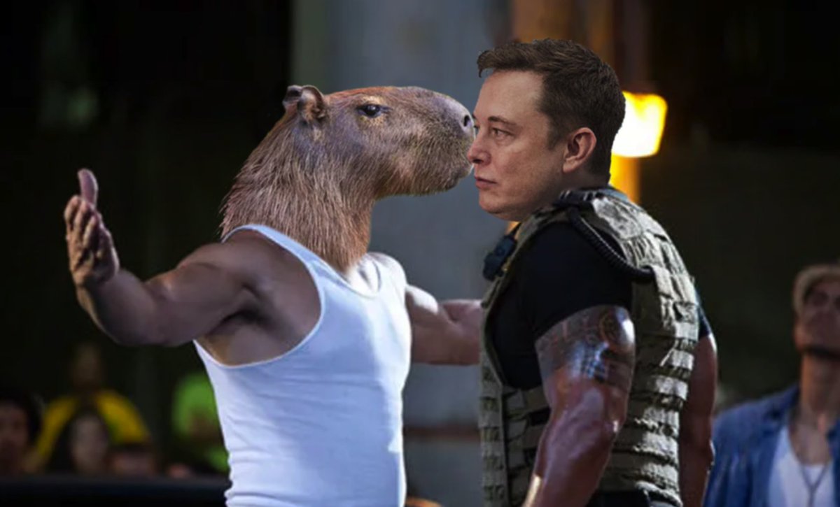 windscribecom's tweet image. Para a galera do Brasil: 🇧🇷 Com a possível proibição do Twitter, use a VPN da Windscribe para contornar bloqueios e proteger sua privacidade. Ganhe 30GB grátis com o código CAPIVARA. Nosso serviço é auditado, de código aberto, com uma política rigorosa de não guardar dados dos…