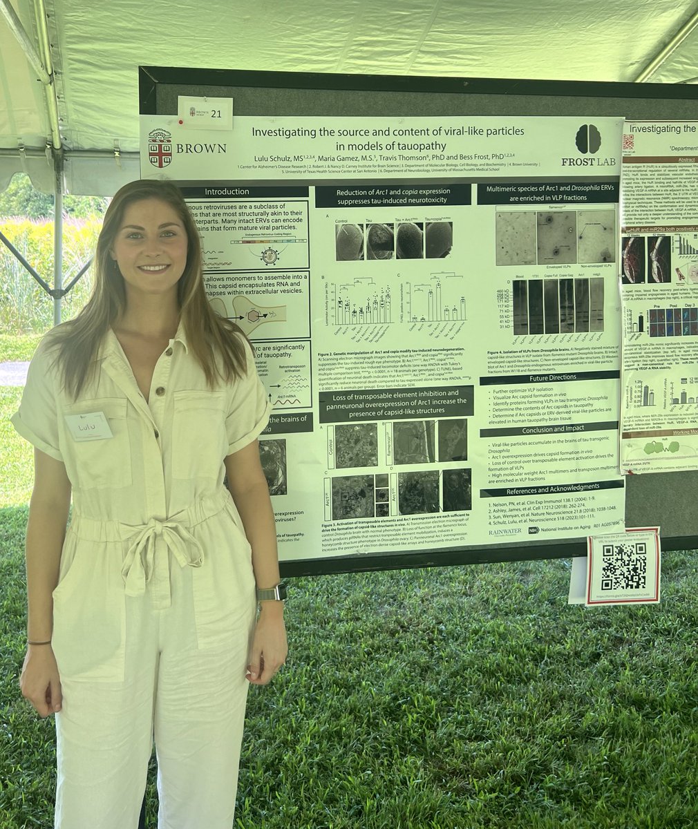 Lulu Schulz (@luluschulz1) on Twitter photo Got to present my work on Arc and ERV-derived viral-like particles in tauopathy at the <a href="/BrownMolBio/">Brown University MCB</a> Retreat today! So excited to be amongst such cool interdisciplinary science š„ŗ Got to present my work on Arc and ERV-derived viral-like particles in tauopathy at the <a href="/BrownMolBio/">Brown University MCB</a> Retreat today! So excited to be amongst such cool interdisciplinary science š„ŗ