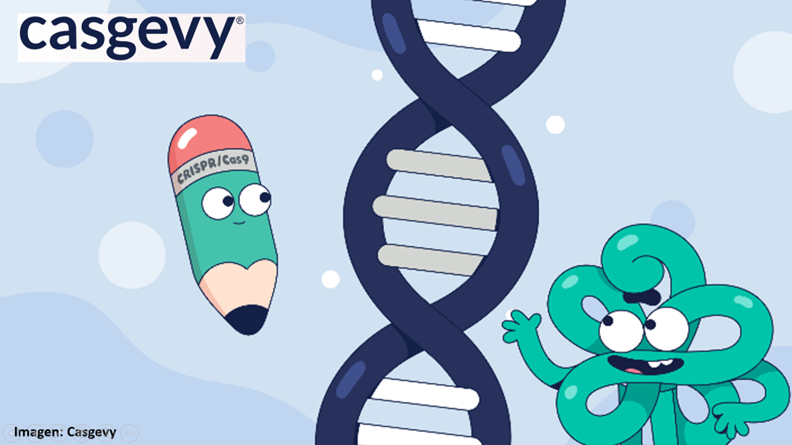 RT:
#EditarParaCurar
Era 1993. Un joven español de la ciudad de Elche quedó maravillado por su hallazgo. Sin imaginarlo, 30 años después, su descubrimiento cambiaría el mundo y daría paso a la #terapiagénica llamada #Casgevy, capaz de curar dos enfermedades raras. 💊
🧵(1/35) 
👇