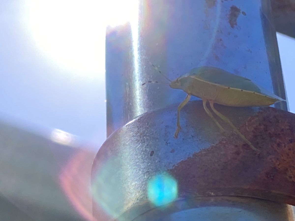 mancave blvd 🥞 tweet media