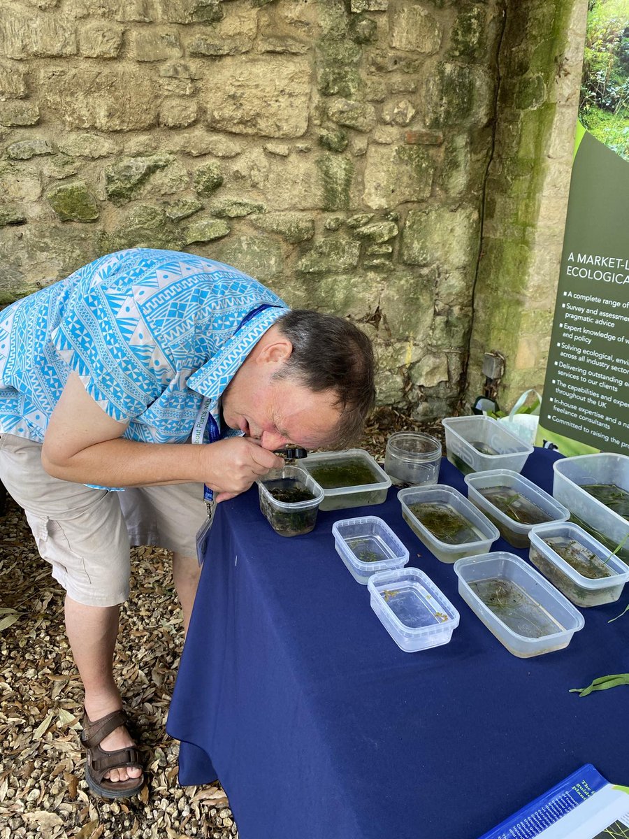 Seb 🌱🌿☘️🌱 (@seburbanbotany) on Twitter photo The phenomenal time at #BUC2024 <a href="/BUCBotany/">Botanical University Challenge</a> <a href="/OBGHA/">University of Oxford Botanic Garden and Arboretum</a> with our fantastic speakers, attendees, and partners! Great fun with <a href="/drmgoeswild/">Dr M still going wild!</a> trying his hand at freshwater plants and <a href="/BSBIbotany/">BSBI: Botanical Society of Britain & Ireland</a> FISCs. Thank you to the fantastic <a href="/laurenbaker1993/">Lauren Baker</a> for her organisational brilliance! The phenomenal time at #BUC2024 <a href="/BUCBotany/">Botanical University Challenge</a> <a href="/OBGHA/">University of Oxford Botanic Garden and Arboretum</a> with our fantastic speakers, attendees, and partners! Great fun with <a href="/drmgoeswild/">Dr M still going wild!</a> trying his hand at freshwater plants and <a href="/BSBIbotany/">BSBI: Botanical Society of Britain & Ireland</a> FISCs. Thank you to the fantastic <a href="/laurenbaker1993/">Lauren Baker</a> for her organisational brilliance!