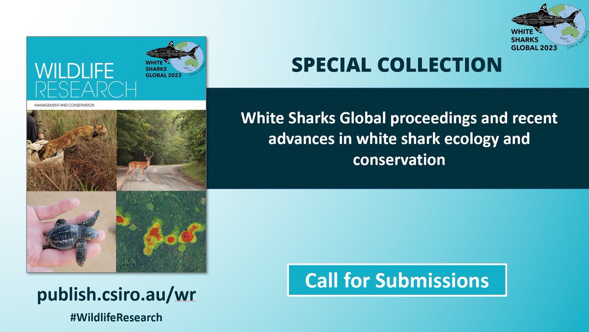 White Sharks Global (@whitesharksglob) on Twitter photo Submission to āWhite Sharks Global proceedings and recent advances in white shark ecology and conservationā Collection is now OPEN in #WildlifeResearch mc.manuscriptcentral.com/csiro-wr <a href="/CSIROPublishing/">CSIRO Publishing</a>
Deadline 21 Dec 2024 Submission to āWhite Sharks Global proceedings and recent advances in white shark ecology and conservationā Collection is now OPEN in #WildlifeResearch mc.manuscriptcentral.com/csiro-wr <a href="/CSIROPublishing/">CSIRO Publishing</a>
Deadline 21 Dec 2024