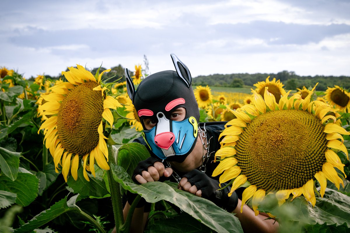 Sunflowers getting that vitamin D 😈

📸🪄 : gay_masked (insta)
