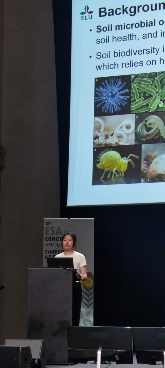 ShoujiaoLi's tweet photo. I am glad and grateful for the opportunity to deliver an oral presentation on "Perennial crops shape the soil microbial community and increase soil carbon in the upper soil layer" at the 18th Congress of the European Society for Agronomy in Rennes, France! #ESA2024 #Kernza #Soil https://t.co/UREwNFRgmc