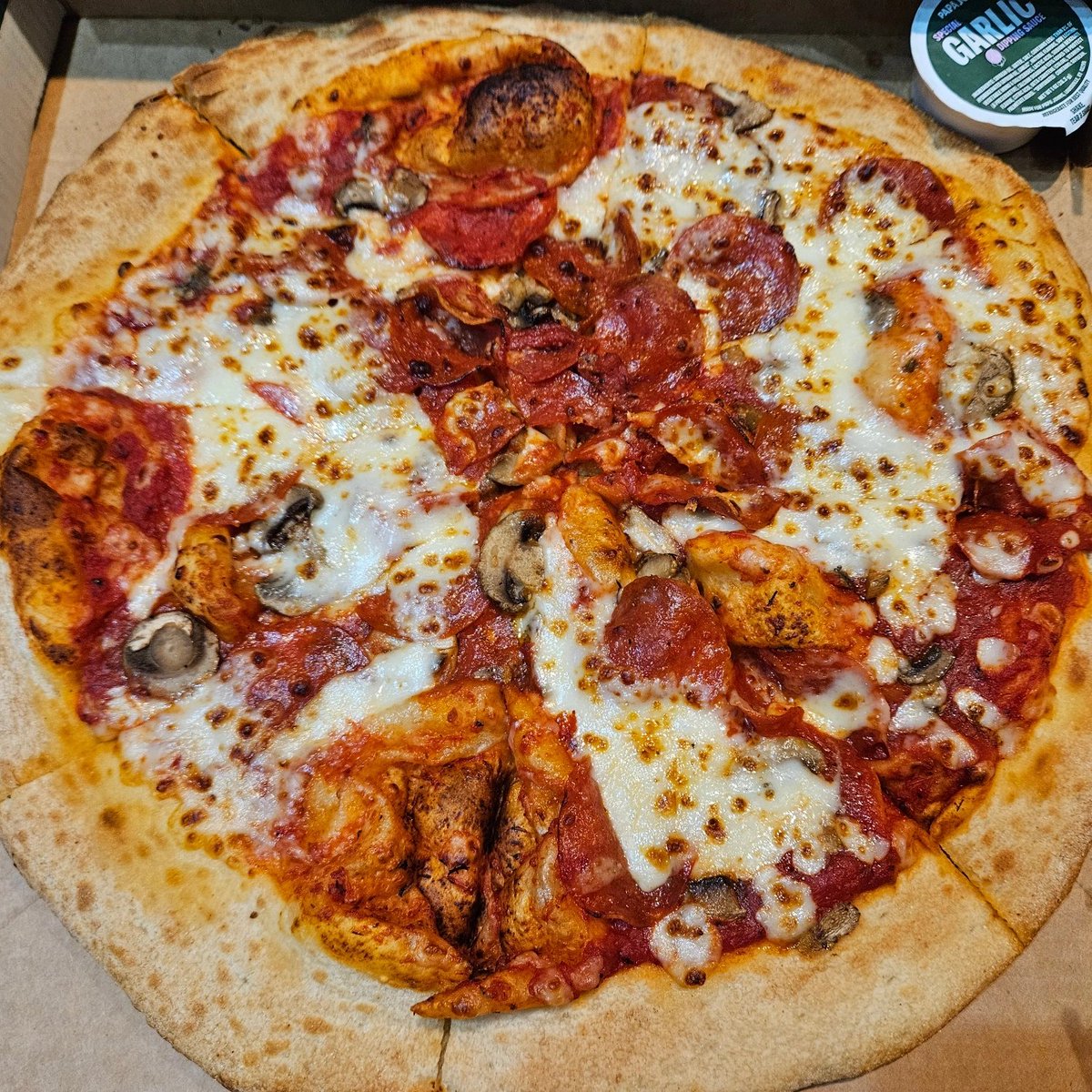 tigersnyarn's tweet photo. .@PapaJohns what the hell is this? Not exactly what I was looking forward to on pizza friday https://t.co/N1CvHulL9b